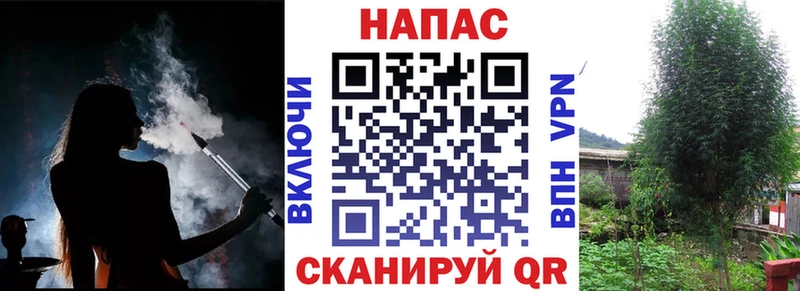 продажа наркотиков  Болхов  Бошки марихуана тримм 